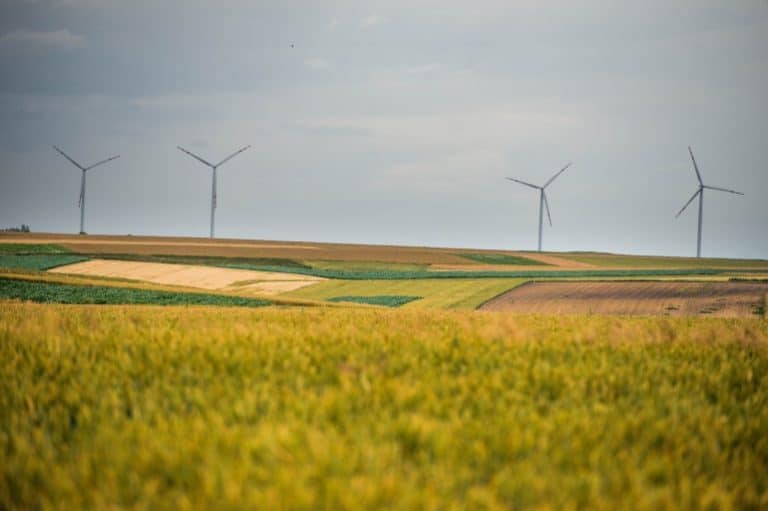 Farmy wiatrowe dostarczyły 1/3 potrzebnej energii