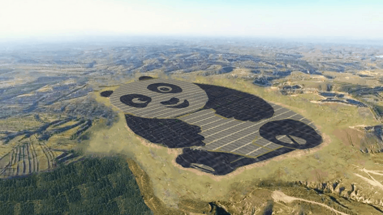 solar-panel-install-panda-solar-farm-1