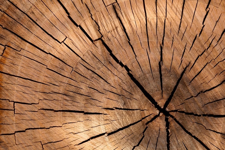 drewno biopaliwa
