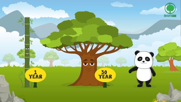 cheeky panda szybkość wzrostu bambusa
