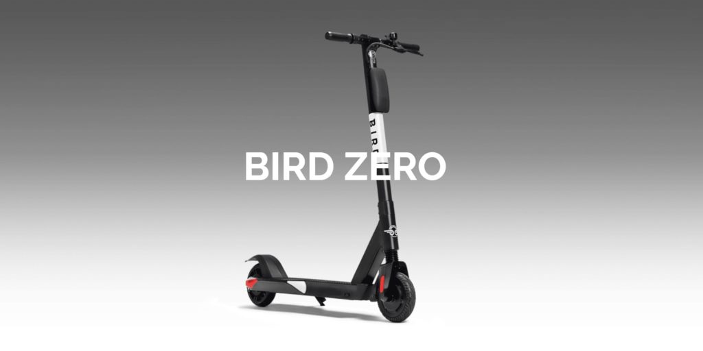 bird zero