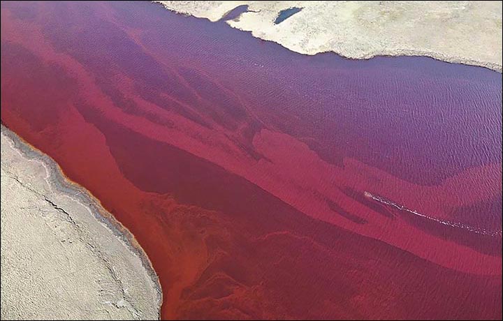 czerwona rzeka, katastrofa ekologiczna