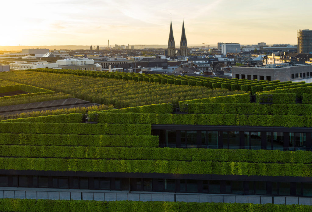 ingenhoven architects office block dusseldorf miles hedges europe largest green facade dezeen 2364 col 2 2048x1390 1
