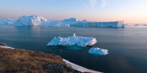 letnia arktyczna pokrywa lodowa