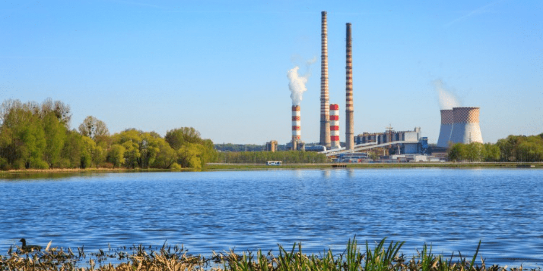 Polska Grupa Energetyczna chce zainwestować trzy miliardy w OZE