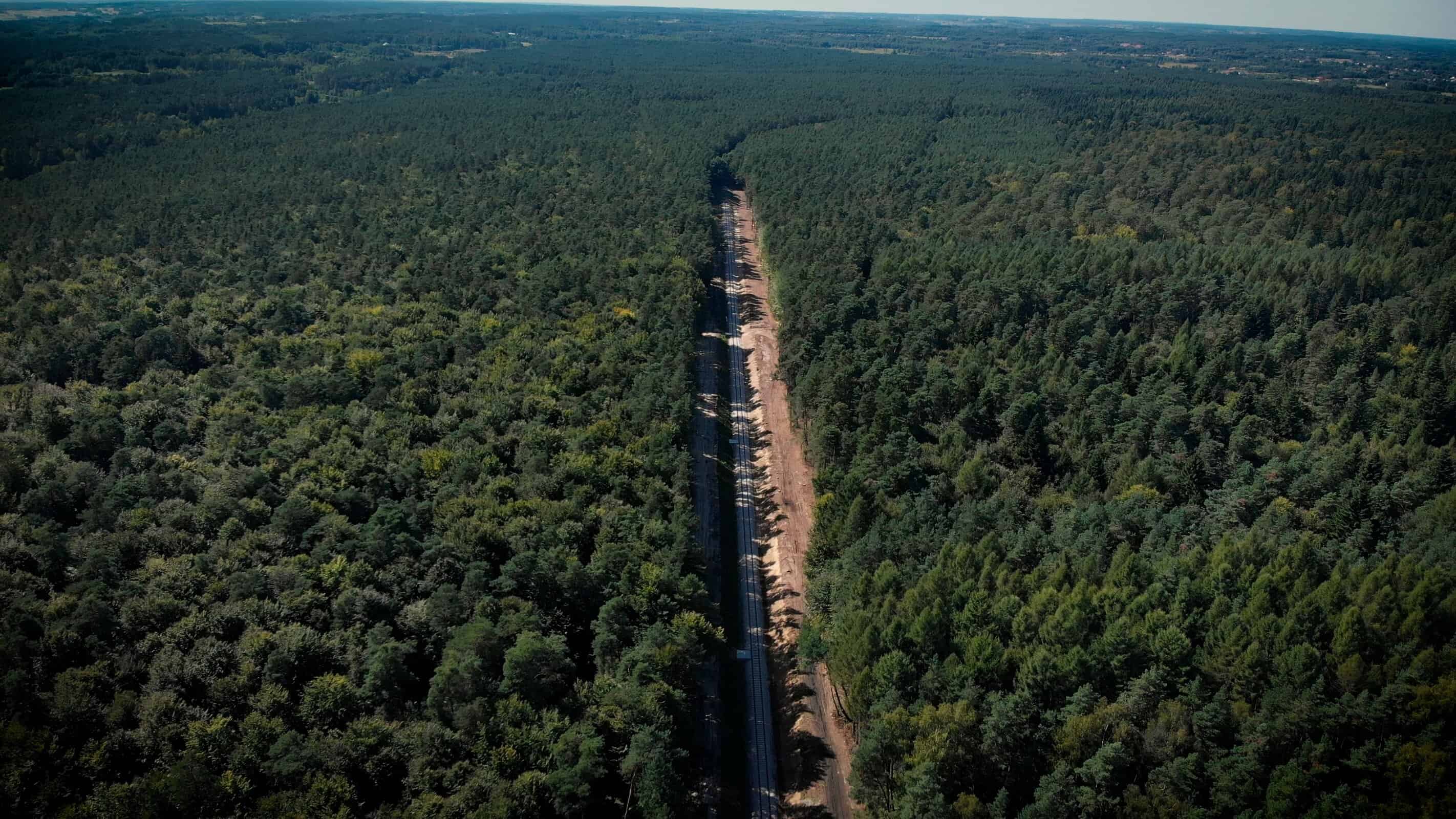 Polska kolej magnetyczna Nevomo zyskała inwestora i zaczyna testy na Podkarpaciu