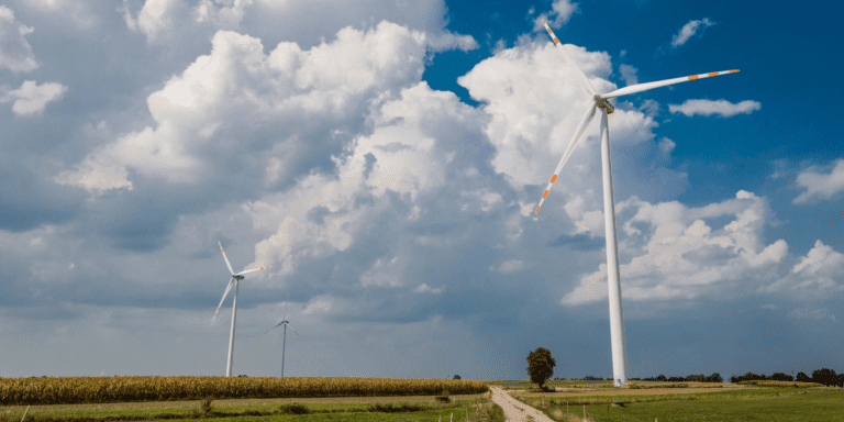Nowa farma wiatrowa w Polsce. Naukowcy potwierdzają, że wiatraki są potrzebne i bezpieczne dla zdrowia