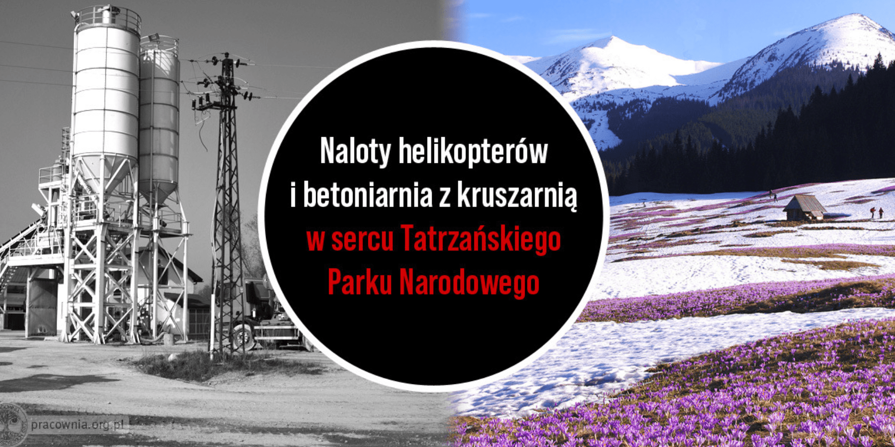 Burmistrz Zakopanego, Leszek Dorula, wydał skandaliczną decyzję o środowiskowych uwarunkowaniach dla modernizacji infrastruktury narciarskiej w rejonie Kasprowego Wierchu i Doliny Goryczkowej. Naukowcy i ekolodzy biją na alarm - musimy chronić bezcenną przyrodę Tatr.
