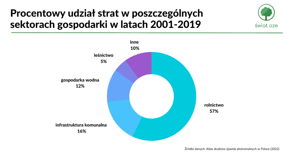 Procentowy udział strat w poszczególnych sektorach gospodarki w latach 2001-2019