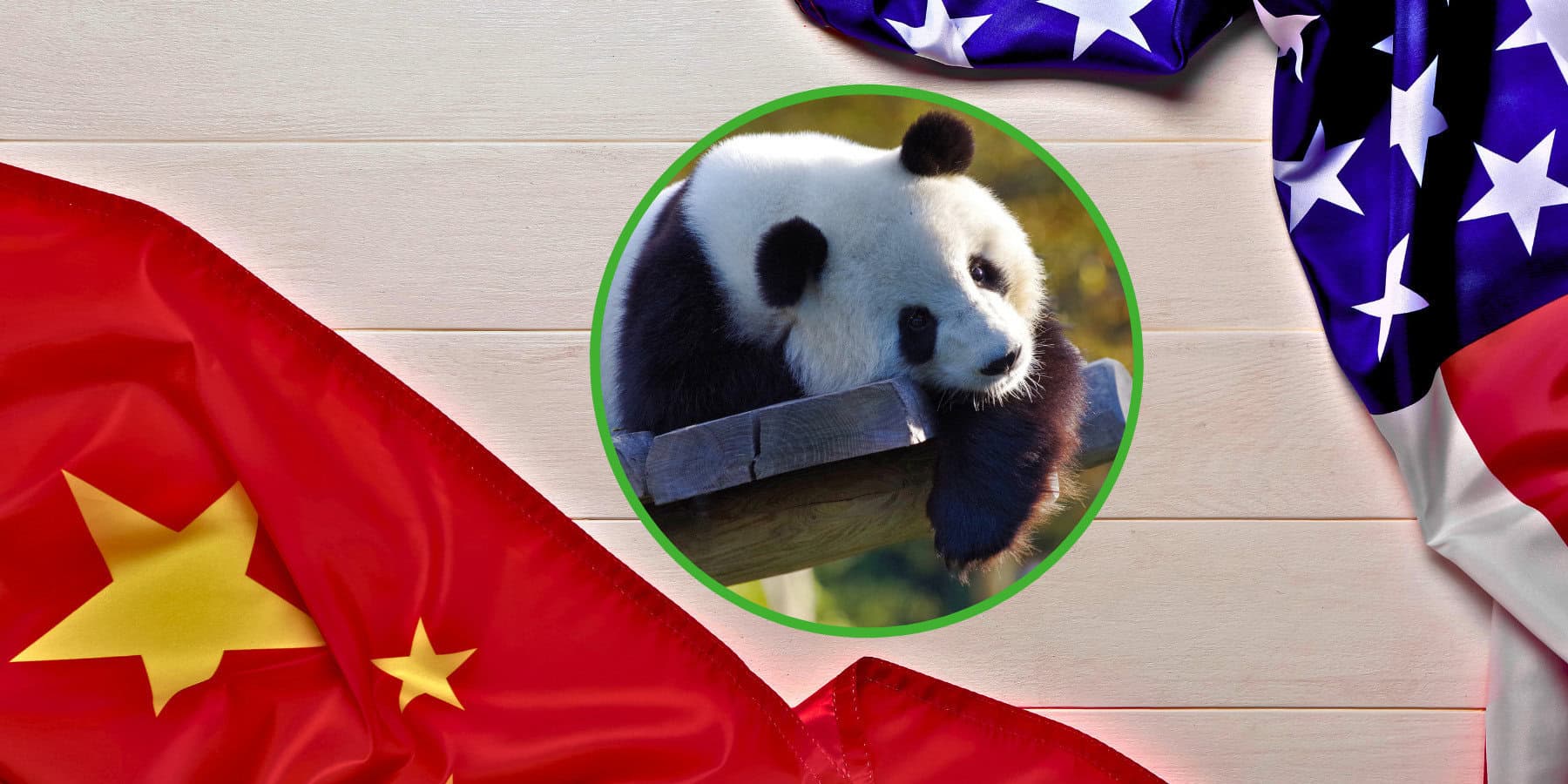 Pandy i dyplomacja. Jak puchate misie wpływają na relacje Chin i USA