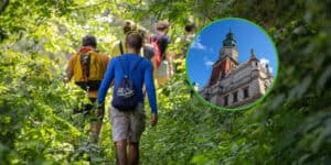 Wiemy, gdzie powstanie pierwszy w Polsce las społeczny. Lasy Państwowe podały również termin