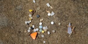 Nurdle pod lupą: mikroplastik w Bałtyku i oceanach – skala, zagrożenia, rozwiązania