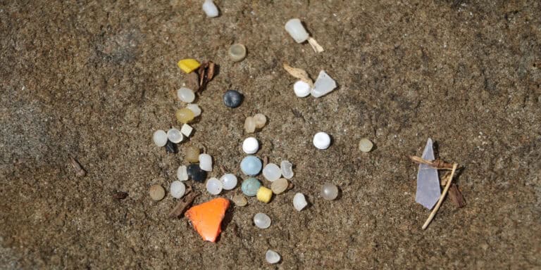 Nurdle pod lupą: mikroplastik w Bałtyku i oceanach – skala, zagrożenia, rozwiązania