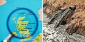 Ekobójstwo pod lupą. Szkocja chce karać niszczenie środowiska więzieniem